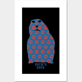 Phish Dick's Prairie Dog 2019 Posters and Art